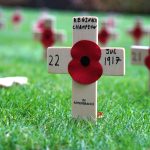 Crosses with poppies on them in the grass